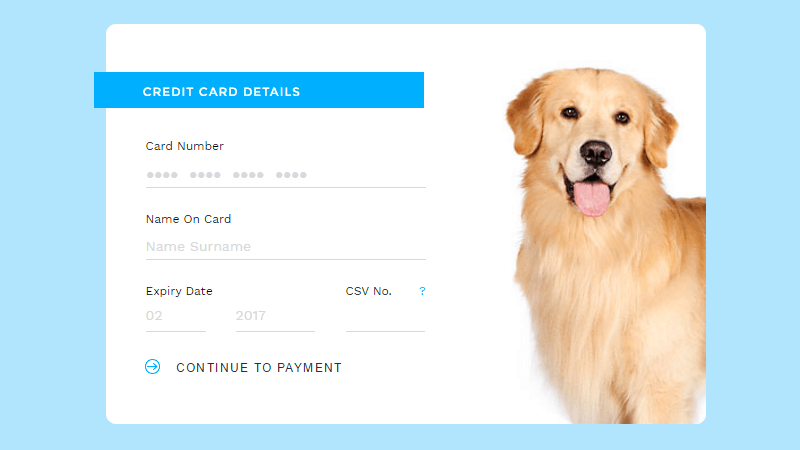 Demo Image: Credit Card Checkout
