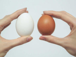 Заговор с яйцами