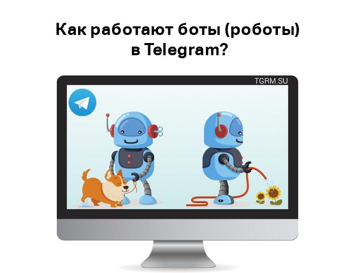 картинка: роботы в телеграм