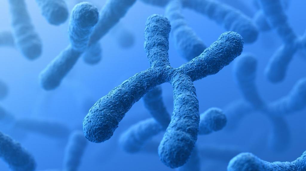 Сателли́тная ДНК
